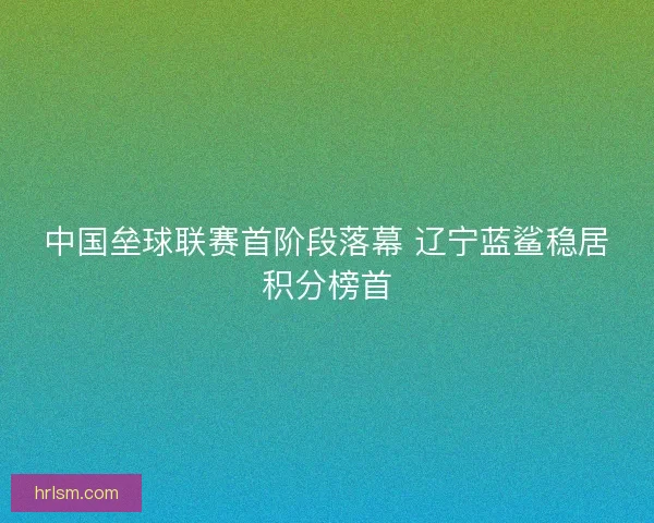 中国垒球联赛首阶段落幕 辽宁蓝鲨稳居积分榜首